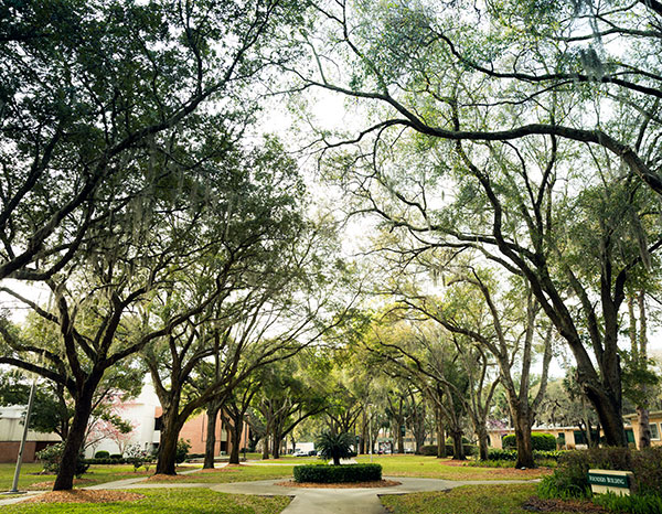 Jacksonville University Campus Photo